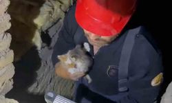Kırıkkale’de havalandırma boşluğuna düşen yavru kediler kurtarıldı