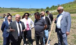 Konaklı’da 800 zeytin fidanı toprakla buluştu