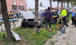 Kontrolden çıkan otomobil refüjdeki ağaca çarptı: 2 yaralı