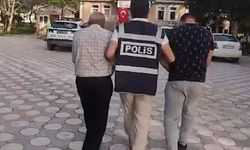 Köpek dövüştürenler yakalandı