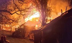 Köyde çıkan yangında 3 ev kullanılamaz hale geldi