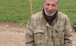 Koyun otlatırken hayatını kaybetti