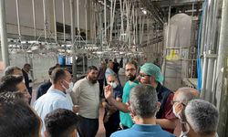 Malatya Büyükşehir Belediyesi’nden vatandaşlara ‘sertifikalı kurban kesim elemanı’ eğitimi
