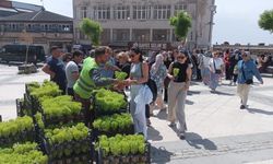 Mardin Büyükşehir Belediyesi’nden Anneler Günü’ne etkinlik
