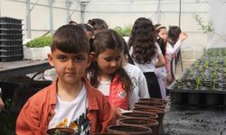 Minik öğrenciler seralarda doğayla buluştu