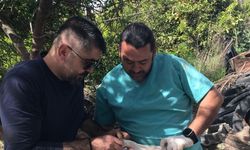 Ortaca Okçular Mahallesi’nde Brucella aşılaması gerçekleştirildi