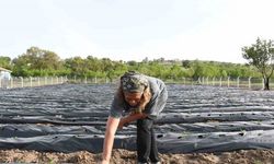 Pandemi günlerinde Ankara’yı terk etti, memleketinde üretici oldu, şimdi talepleri yetiştiremiyor
