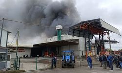 Sakarya’da fabrika yangını