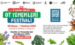 Samsun Yöresel Ot Yemekleri Festivali’nde bin 800’ün üzerinde yenilebilir ot ve lezzet tanıtılacak