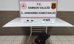 Samsun’da uyuşturucu operasyonu: 1 gözaltı