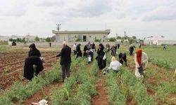 Şanlıurfa’da emekli kadınlara "süs bitkisi yetiştiriciliği eğitimi"