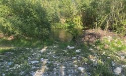 Seydikemer’de balık avlarken akıma kapılan kişi hayatını kaybetti