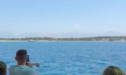 Side açıklarında Akdeniz foku görüntülendi, turistler hayretler içinde izledi