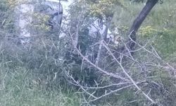 Siirt’te otomobil devrildi: 1  yaralı