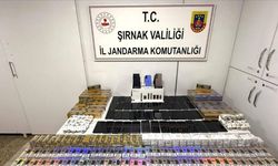 Şırnak’ta jandarma ekipleri 6 milyon 800 bin lira değerinde kaçakçılığı önledi