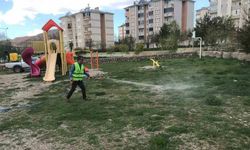 Sivrisinek ve haşerelere karşı ilaçlama yapıldı