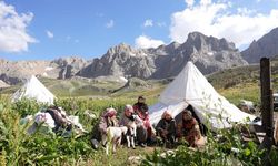 Sohmarik Yaylası doğaseverlerin gözdesi