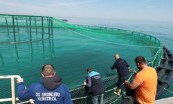 Trabzon’da denizdeki balık kafeslerine denetim