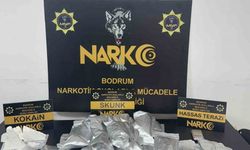 Uyuşturucu operasyonunda 1 tutuklama