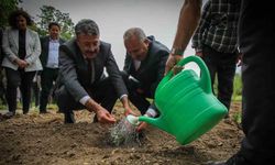 Vali Ali Çelik: "Bu toprakları birlikte yeşerteceğiz"