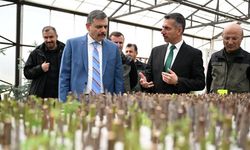 Vali Çiftçi, Orman Bölge Müdürlüğünü ziyaret eti