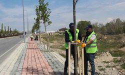Van Büyükşehir Belediyesinden sahil yolunda çalışma