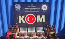 Van’da gümrük kaçakçılığı operasyonu