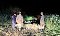 Van’da kaçak avlanmış 15 ton inci kefali ele geçirildi