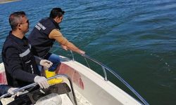 Van’da sazangiller için av yasağı başladı