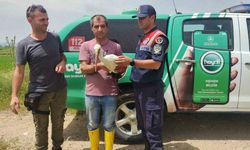 Yaralı leylek 3 aylık tedavi sonrası doğaya salındı