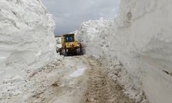 Yüksekova’da 3 metrelik karda yol açma çalışması