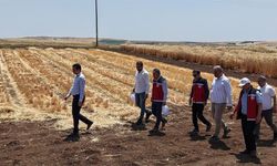 Adıyaman’da tohumculuk sektörü güçleniyor