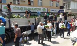 Ahlatlı çiftçi 30 ton karpuz dağıttı