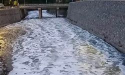 Aksu Deresi’nde kimyasal atık şüphesi