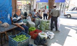 Aydın incirinde ’ilekleme’ sezonu başladı