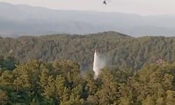 Aydın ve Muğla’daki orman yangınlarına hızlı müdahale