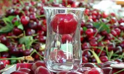 Çay bardağına sığmayan Lapseki kirazında hasat başladı