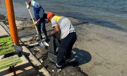 Didim Belediyesi Mavişehir Sahili’ni temizledi