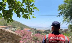 Doğanbey’de orman yangınlarına dikkat çekildi