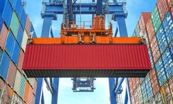 Düzce’den 8 bin 99,5 ton orman ürünü ihraç edildi