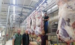 Erzincan’da mezbahaneler bayrama hazır