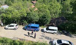 Karabük’teki köpek ölümleriyle ilgili inceleme başlatıldı