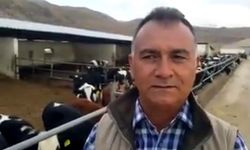 Kayseri’de günlük 500 ton süt üretiliyor