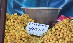 Kiraz Festivali’nde tezgahlardaki ’otlamak yasaktır’ yazısı tepki çekti