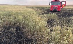 Kulu’da arpa ekili tarlada yangın
