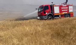 Mardin’de ekili arazide çıkan yangın söndürüldü