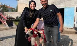 Nişanlısına süslediği koyunu hediye etti