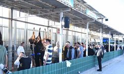 -Pursaklar Belediyesi’nden çevrim içi kurban kesimi