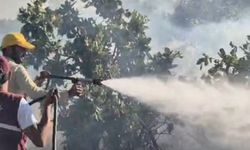 Siirt’te çıkan örtü yangını söndürüldü