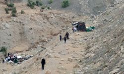 Şırnak’ta şarampole devrilen tırın sürücüsü yaralandı